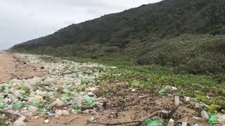 Cuttings Beach 2017 / Infront of Sapref refinery.