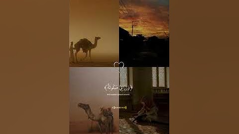 وُجُوهٌ يَوْمَئِذٍ نَّاعِمَةٌ.. القارئ عبد الرحمن مسعد ، سورة الغاشية