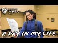 A Day in My Life as an Economics Student at UoY