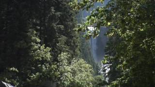 TrekAmerica Official Video Diary -  Yosemite National Park