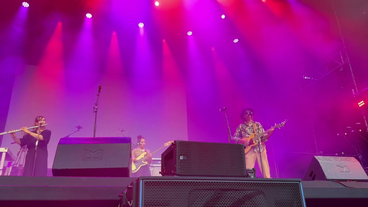 Ernst Molden & das Frauenorchester: Hammerschmiedgossn (Live, 30 Jahre Integrationshaus)