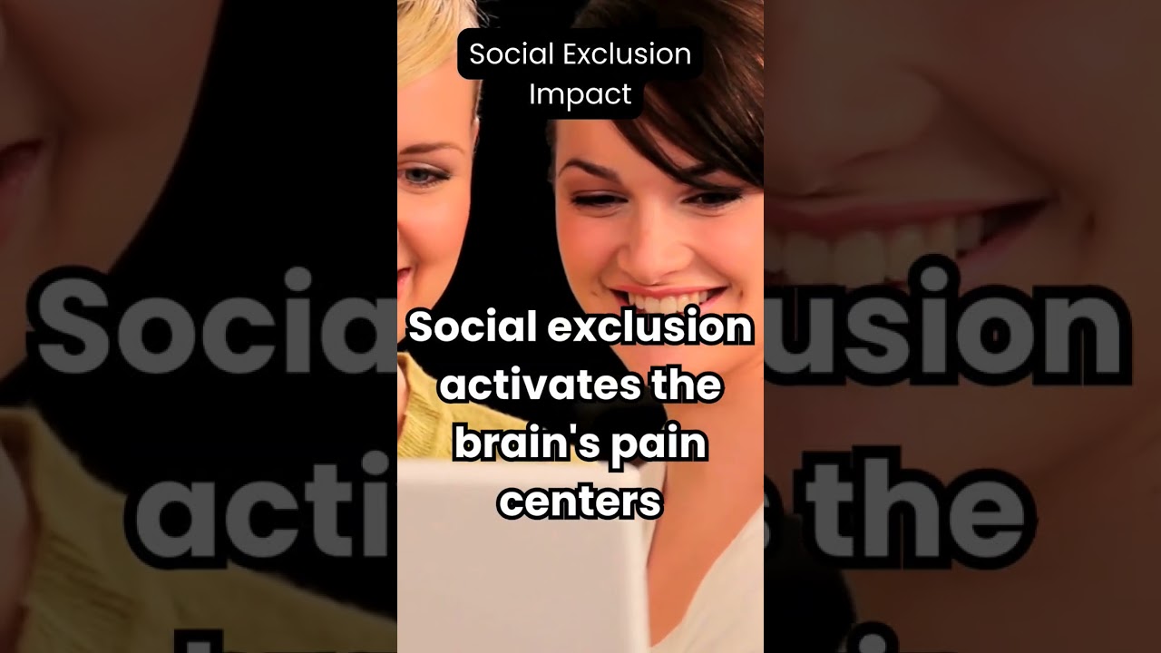 The Impact of Social Exclusion: Creating Inclusive Communities
