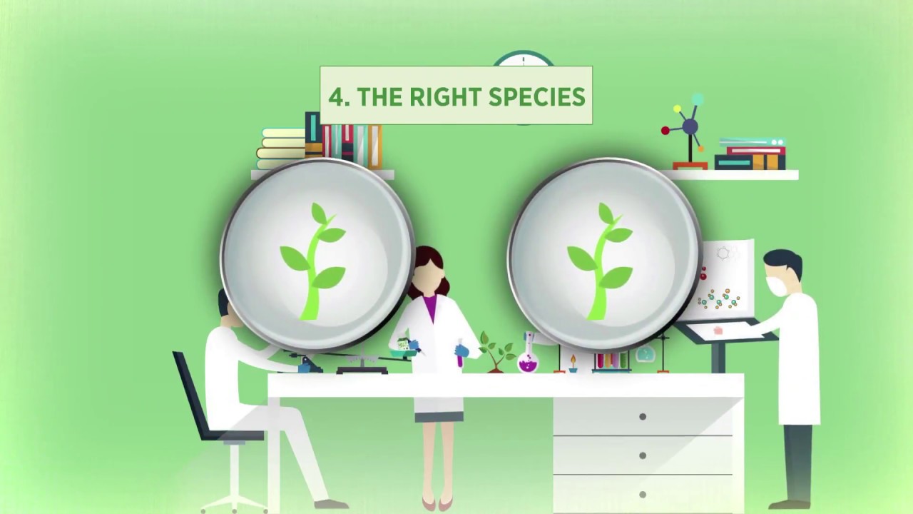 Kannada Nutrilite Traditional Herbs Range Traceability Story YouTube