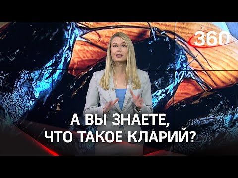 Знакомьтесь, кларий! Что это, и почему ради него стоит ехать в Луховицы?