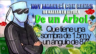 EL VERDADERO ADMIN