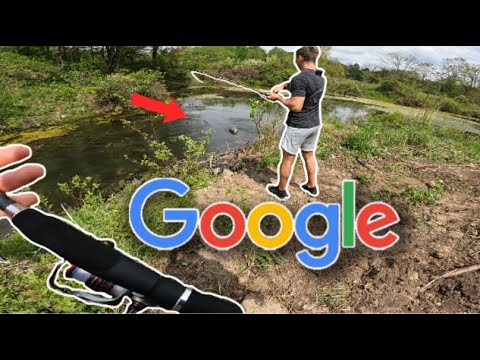 Google Maps BASS Fishing (Giant Fish)