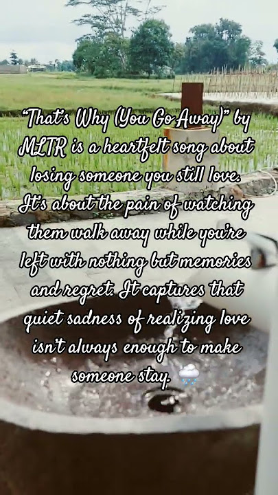 MLTR - Thats Why (You Go Away)