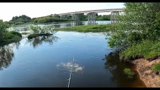 р.Неман. район д.Орля. Прогулка по берегу. Гродненская обл. РБ