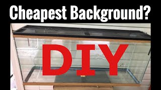 Cheapest Aquarium Background? Easy DIY