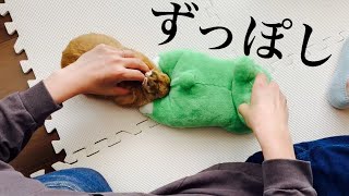 ジャストフィットするうさぎの頭ととカエルのお尻　#833