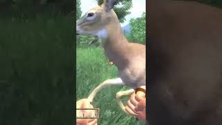 Most normal interaction in Oblivion. #gaming #funny Information