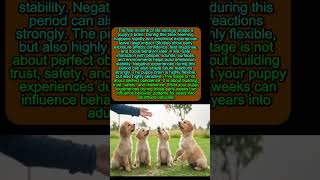 THE FIRST 90 DAYS Shape Your Dog’s BRAIN #dogpsychology