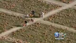 ksl com Farmers offering reward after pumpkin patch is vandalized