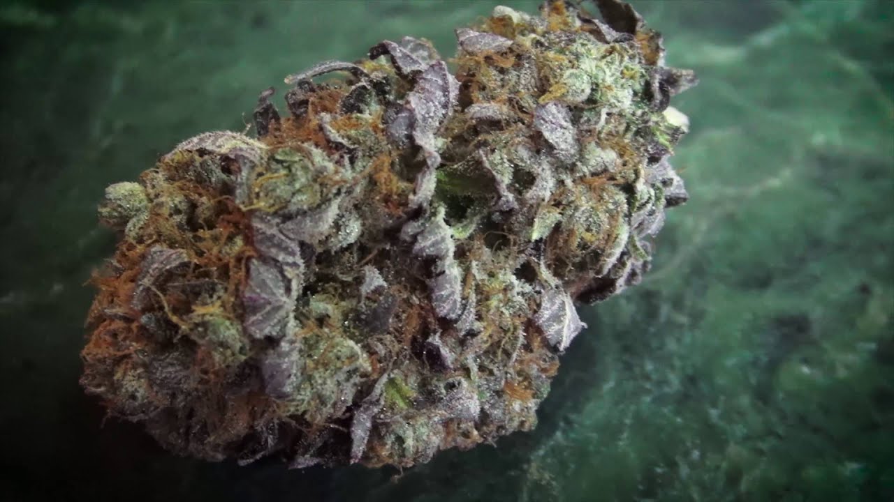 FRIED-DAY♛MK ULTRA-ROSIN JOINT 4K♛