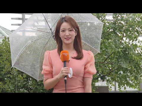 [날씨] 곳곳 오락가락 비…내일 무더위, 내륙 소나기 / 연합뉴스TV (YonhapnewsTV)
