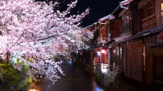 三味線師ロンリー・ブルー 原田ゆかり cover okatto510 - YouTube