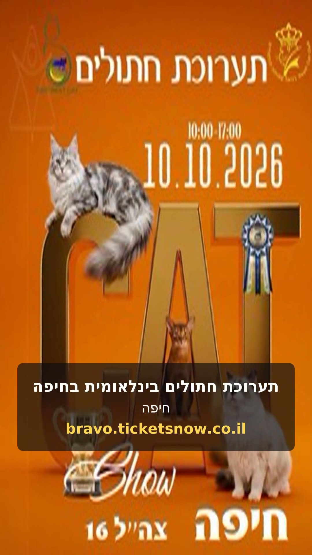 תערוכת חתולים בינלאומית בחיפה