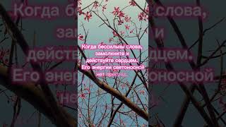 Действуйте сердцем! #агнийога #живая_этика #мудрость_великих_учителей #сердце #мудрость #действуй