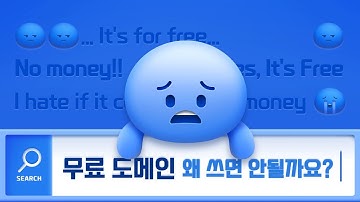 무료 도메인 제공 사이트? 내 웹사이트에 무료 도메인 연결, 절대 하지 마세요!!