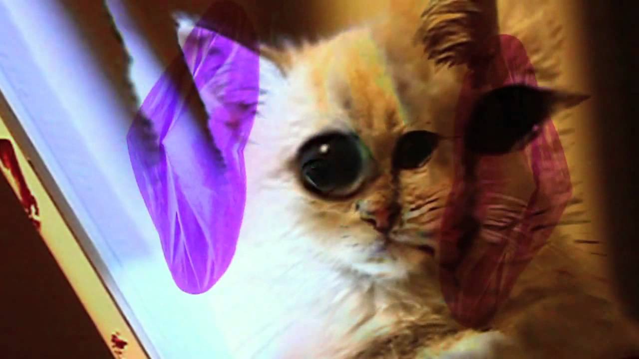 J DILLA • Safety Dance YouTube