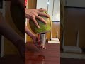 Ice apple juice hot summer cool juice