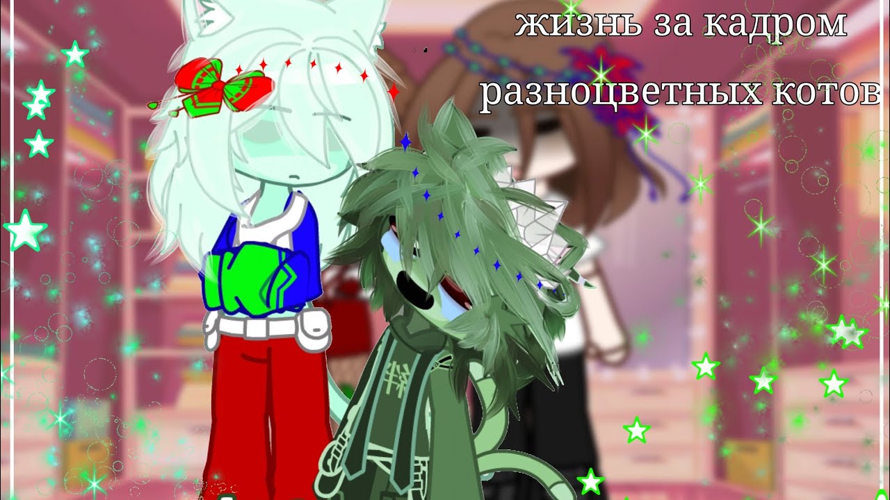 жизнь за кадром разноцветных котов [???]~часть