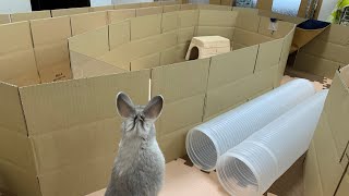 うさぎさんが巨大な迷宮にいどむ動画