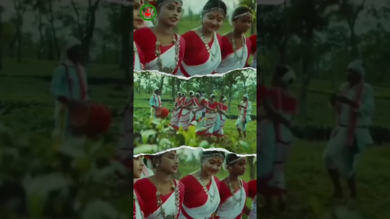 Jhumur Dance by group of Girls jhumur  jhumursong  attsaofficial  TeaTribe  teagarden