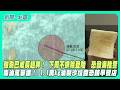 【新聞一點靈】強颱巴威長超胖！ 下周不排除登陸　恐發海陸警　毒油風暴擴！ 1.1萬kg油製沙拉醬恐銷早餐店