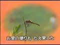 童謡 こどもの歌 全集 赤とんぼ 童謡 こどもの歌 全集 赤とんぼ
