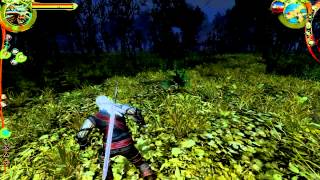 Of Mods and Men #5: FCR Mod Witcher 1