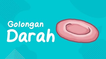 Perbedaan Golongan Darah ABO, Rh, & Hemolytic Disease of the Newborn | #BelajarBareng