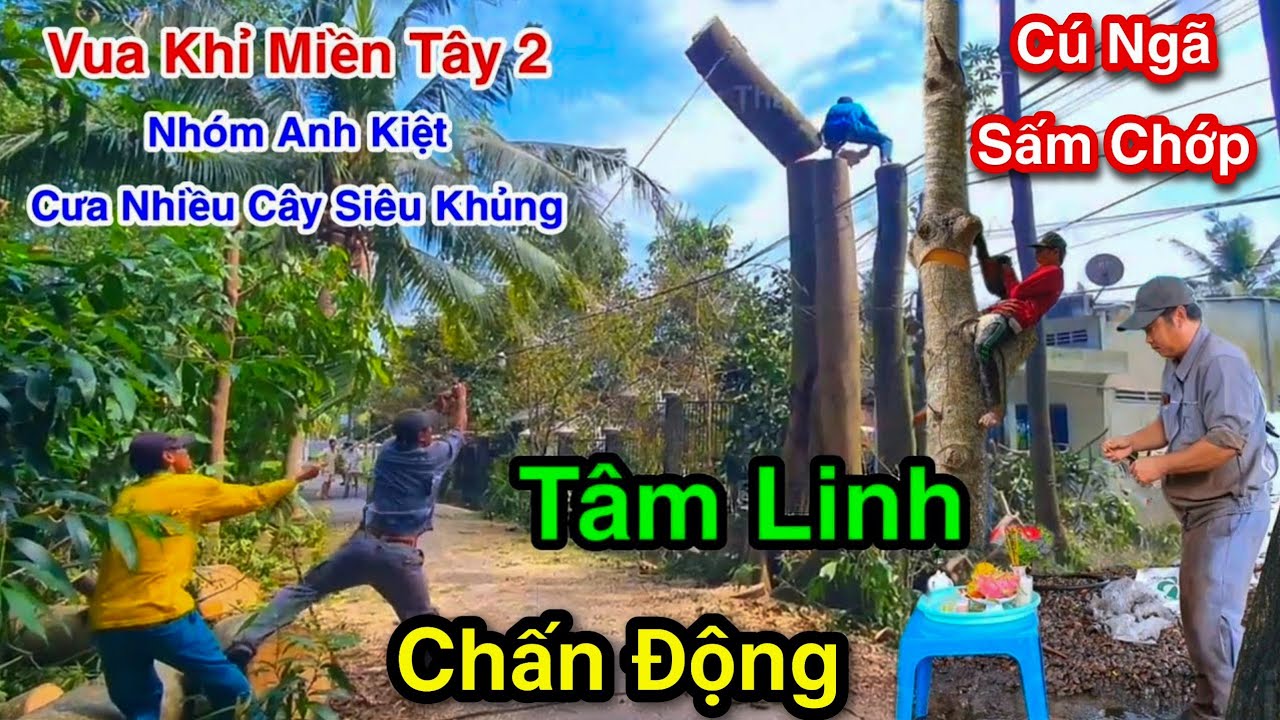 Cực Kỳ Căng Thẳng Vua Khỉ 2 Cùng Nhóm A Kiệt Cưa Nhiều Cây Khủng Đầy Thử Thách