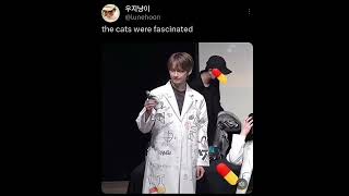 Cute things are for Uji 😭 #jun #shorts #seventeen #woozi #kpopfunny
