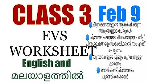 Class 3 Evs worksheet February 9|3 std evs|victers std 3 evs class|parisarapadanam|evs