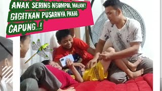 MENGATASI ANAK YG SERING NGOMPOL DENGAN BANTUAN CAPUNG#MITOS DARI ORANG TUA-TUA DULU#