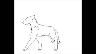 Wolf Walk Cycle (THE COMPLETE ONE)