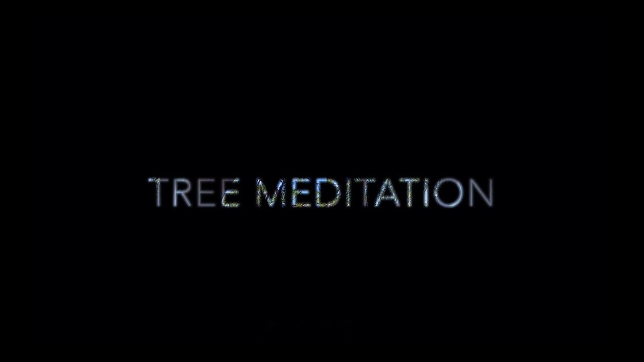 Tree Meditation-50 cycles
