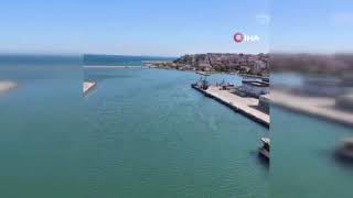 Erdek Körfezinde Yunus Sürprizi, Bandırma Limanında Lüfer Şöleni