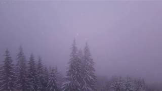 Light Snow Storm with Relaxing Sounds of Wind and Snow Falling Over the Forest  4K Video  10 Hours