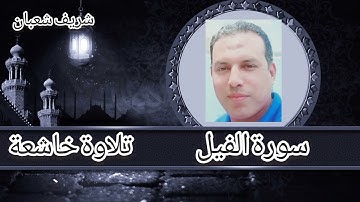 سورة الفيل| تلاوة Quran Surat AlFil خاشعة من تلاوات القارئ شريف شعبان #قرآن_كريم