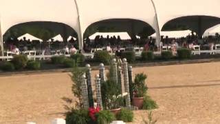 Video of BENJAMIN BUTTONS ridden by ERIKA LUTER from ShowNet!