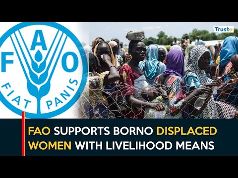 FAO Supports Borno Displaced Women With Livelihood Means