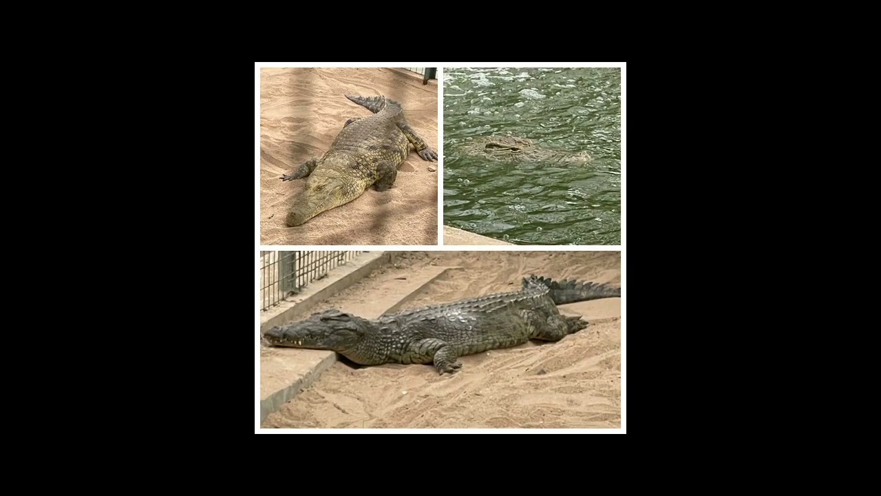 Tourism@Angola! Benguela Province!