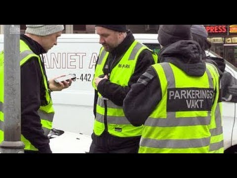 Video: Papegøye Tipser Politiet Til å Myrde Mistenkt