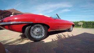 Jaguar E-Type Swissvax Best Of Show