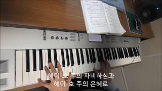 Mercy is falling - David Ruis