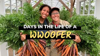 Days in the life of a WWOOFer | My WWOOFing experience