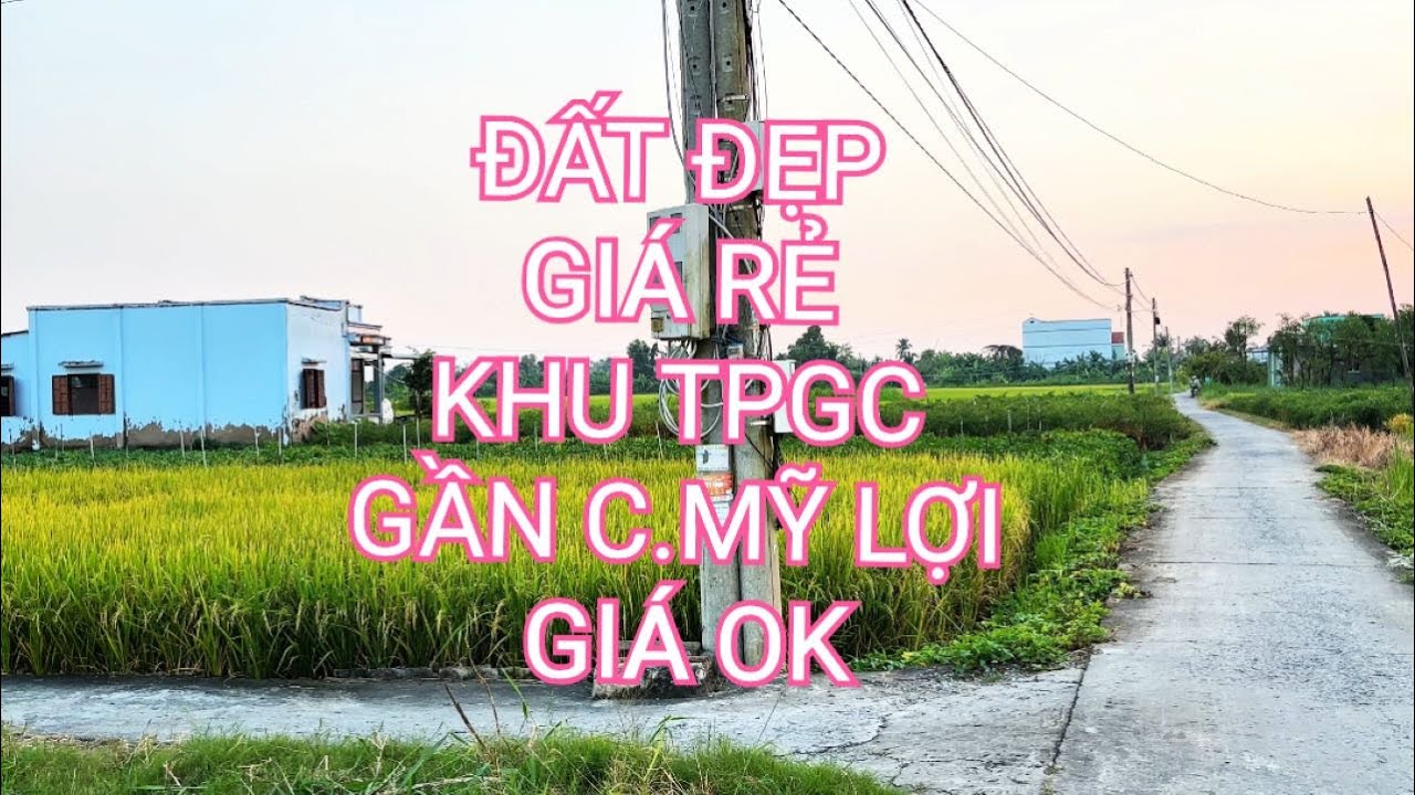 Đắm đuối lãi ngân hàng chị Ly bán đất tiền giang TXGC gấp trả nợ 299 triệu | đất giá rẻ