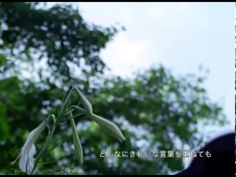 Takaaki Aoki 知らせ 青木孝明 #青木孝明#takaakiaoki